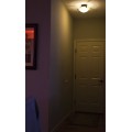 6 Watt LED A19 Globe Bulb with Motion Sensor